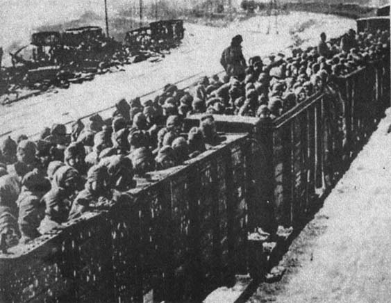 Зимой советских военнопленных перевозили в открытых