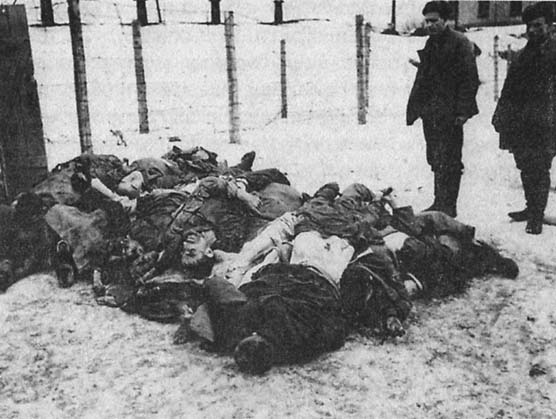 Советские военнопленные, уничтоженные нацистами